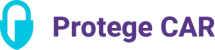 Protege Car